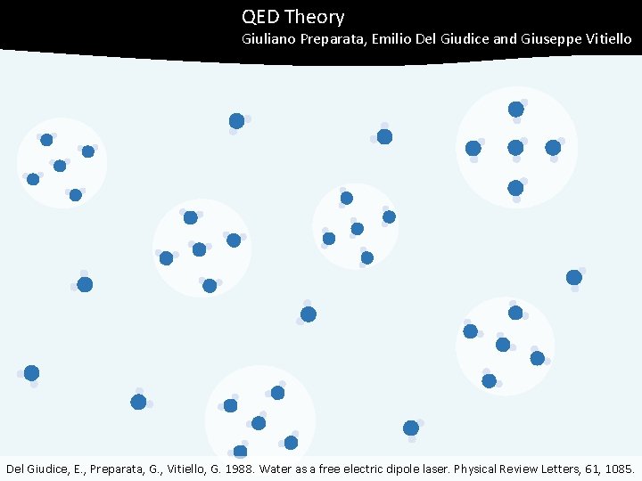 QED Theory Giuliano Preparata, Emilio Del Giudice and Giuseppe Vitiello Del Giudice, E. ,