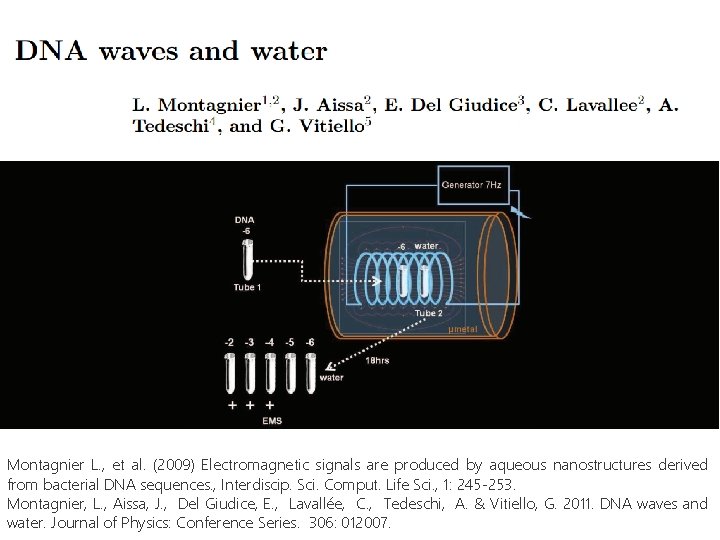 Montagnier L. , et al. (2009) Electromagnetic signals are produced by aqueous nanostructures derived