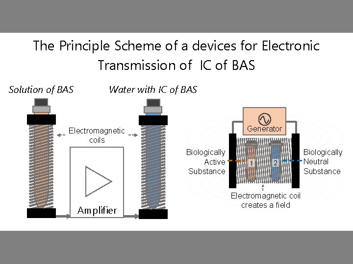 The Principle Scheme of a devices for Electronic Transmission of IC of BAS Solution