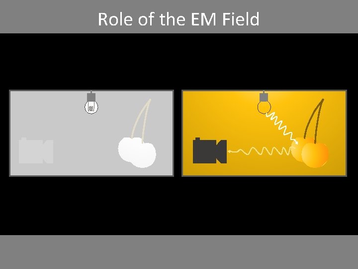 Role of the EM Field 