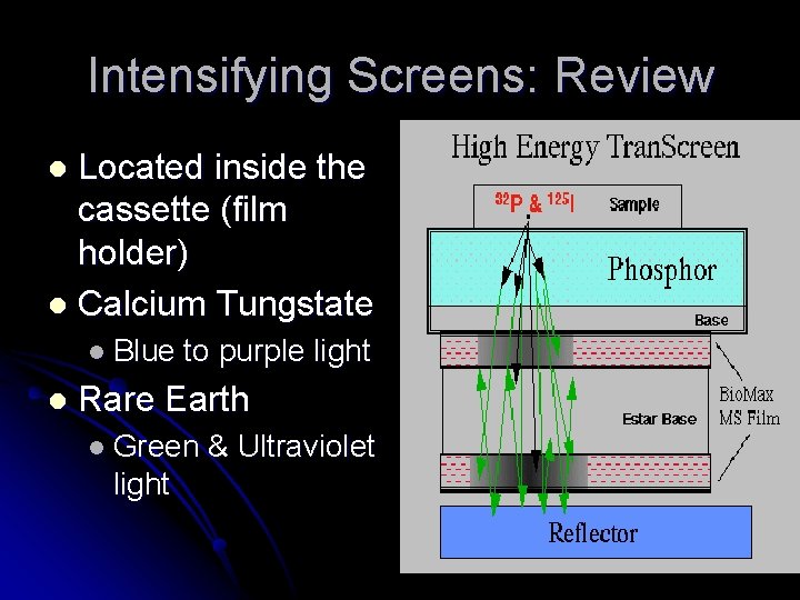 Intensifying Screens: Review Located inside the cassette (film holder) l Calcium Tungstate l l Intensifying Screens: Review Located inside the cassette (film holder) l Calcium Tungstate l l