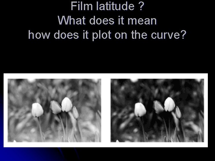 Film latitude ? What does it mean how does it plot on the curve?