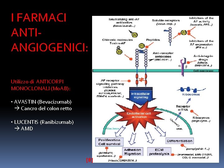 I FARMACI ANTIANGIOGENICI: Utilizzo di ANTICORPI MONOCLONALI (Mo. AB): • AVASTIN (Bevacizumab) Cancro del