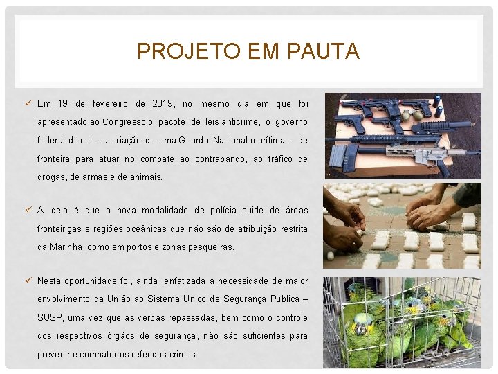 PROJETO EM PAUTA ü Em 19 de fevereiro de 2019, no mesmo dia em