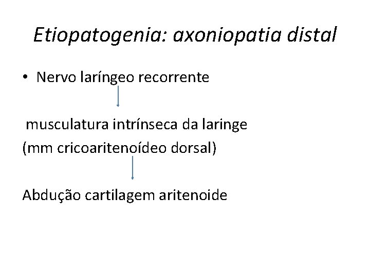 Etiopatogenia: axoniopatia distal • Nervo laríngeo recorrente musculatura intrínseca da laringe (mm cricoaritenoídeo dorsal)