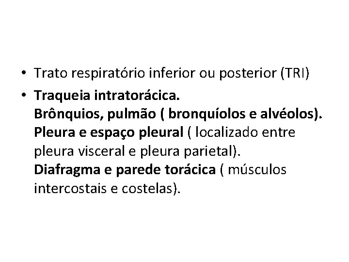  • Trato respiratório inferior ou posterior (TRI) • Traqueia intratorácica. Brônquios, pulmão (