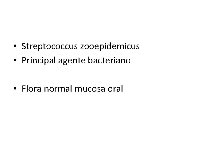  • Streptococcus zooepidemicus • Principal agente bacteriano • Flora normal mucosa oral 