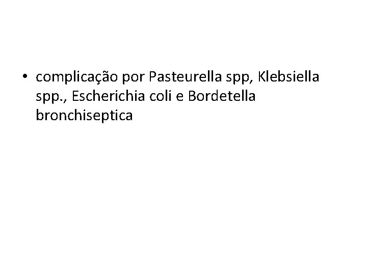  • complicação por Pasteurella spp, Klebsiella spp. , Escherichia coli e Bordetella bronchiseptica