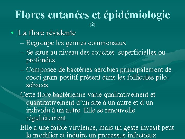 Flores cutanées et épidémiologie (2) • La flore résidente – Regroupe les germes commensaux