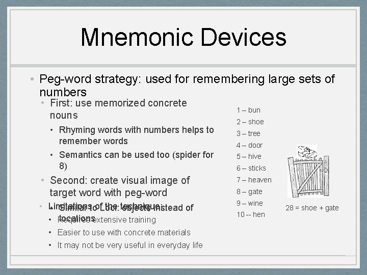 Mnemonic Devices • Peg-word strategy: used for remembering large sets of numbers • First: