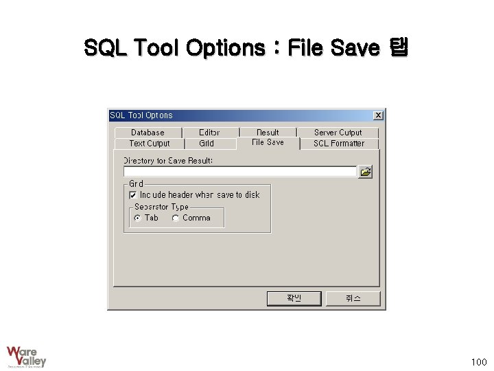 SQL Tool Options : File Save 탭 100 