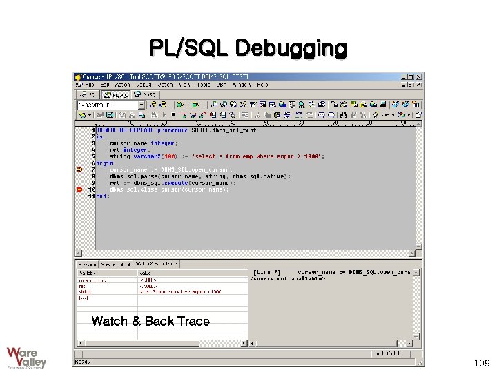 PL/SQL Debugging Watch & Back Trace 109 
