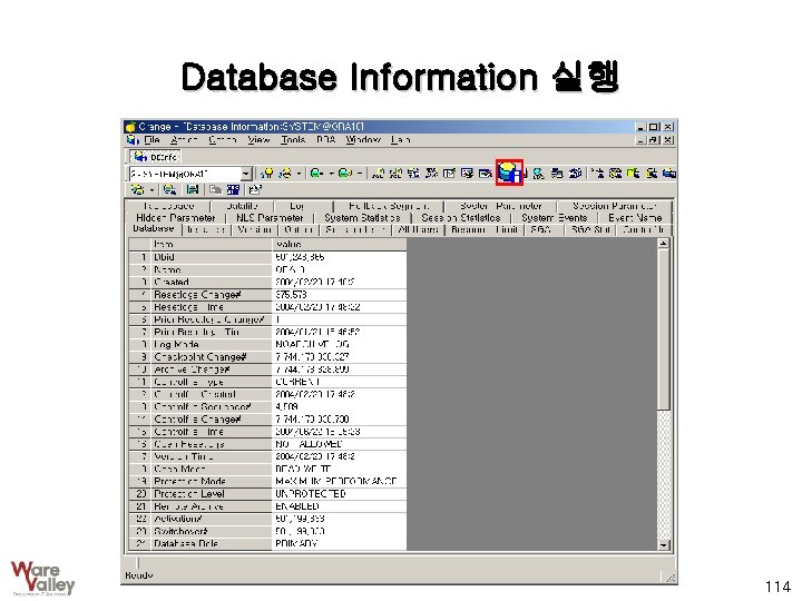 Database Information 실행 114 