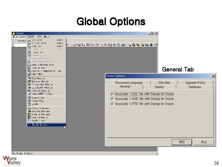 Global Options General Tab 36 