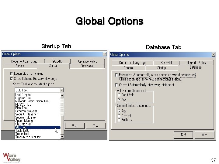 Global Options Startup Tab Database Tab 37 