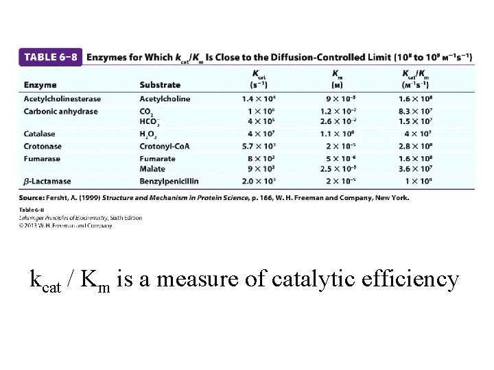 kcat / Km is a measure of catalytic efficiency 