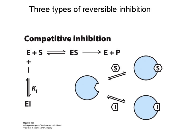 Three types of reversible inhibition 