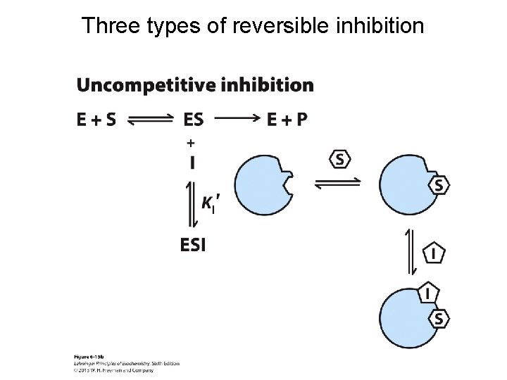 Three types of reversible inhibition 