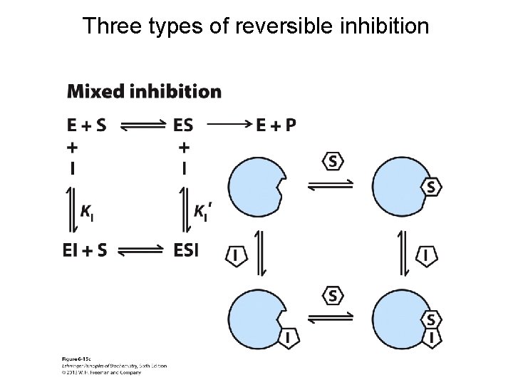 Three types of reversible inhibition 