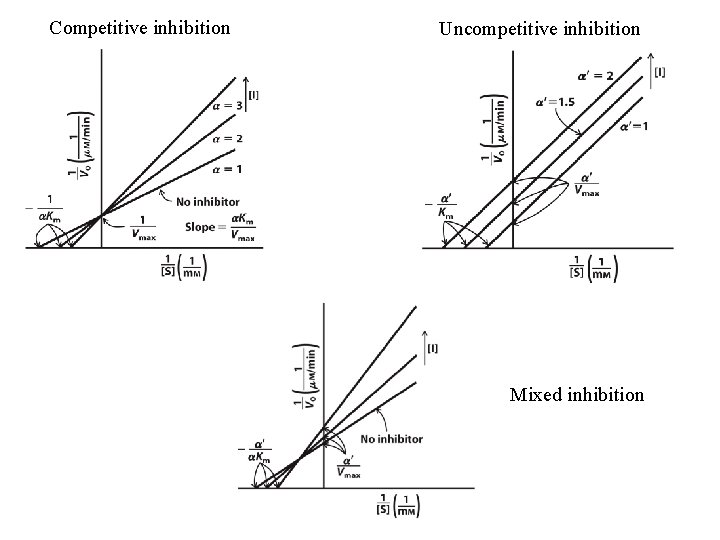 Competitive inhibition Uncompetitive inhibition Mixed inhibition 