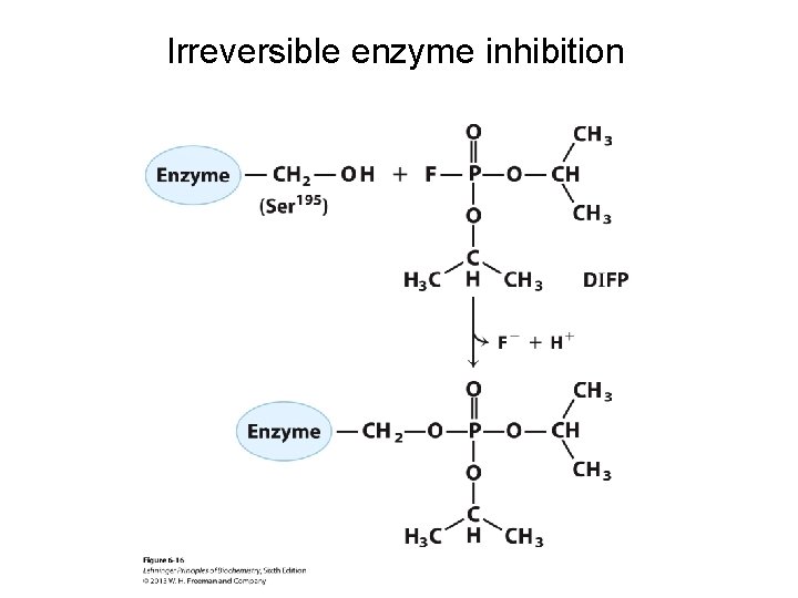 Irreversible enzyme inhibition 