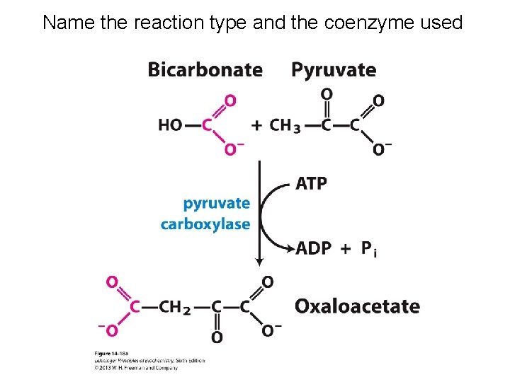 Name the reaction type and the coenzyme used 