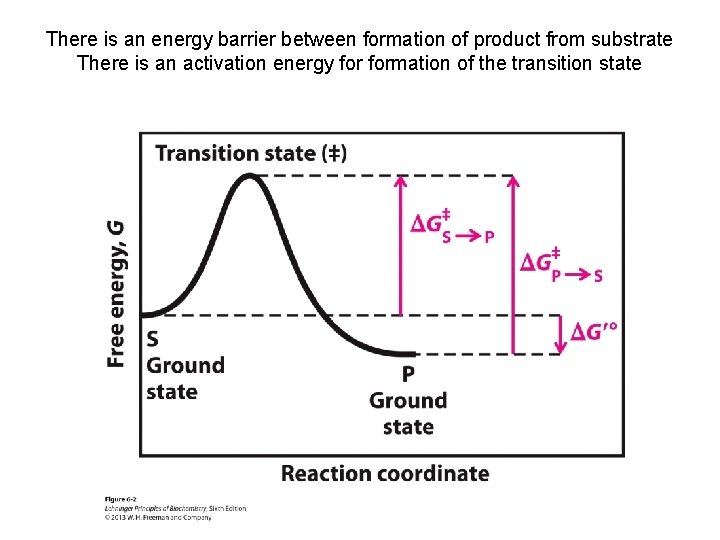 There is an energy barrier between formation of product from substrate There is an