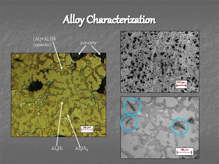 Alloy Characterization (Al)+Al 3 Ni (eutectic) Al 3 Ni porosity Al 3 Ni 2