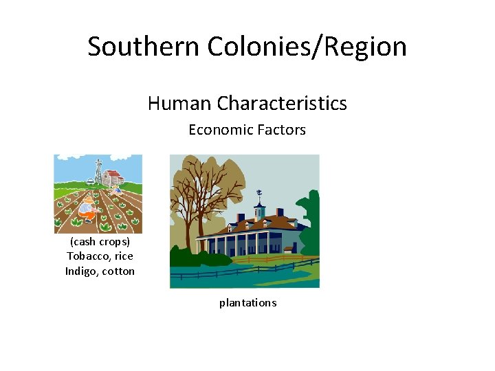 Southern Colonies/Region Human Characteristics Economic Factors (cash crops) Tobacco, rice Indigo, cotton plantations Southern Colonies/Region Human Characteristics Economic Factors (cash crops) Tobacco, rice Indigo, cotton plantations