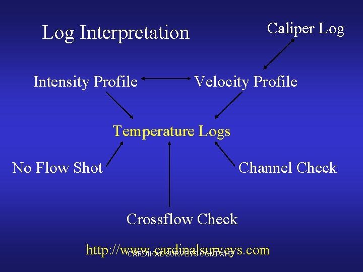 Caliper Log Interpretation Intensity Profile Velocity Profile Temperature Logs No Flow Shot Channel Check