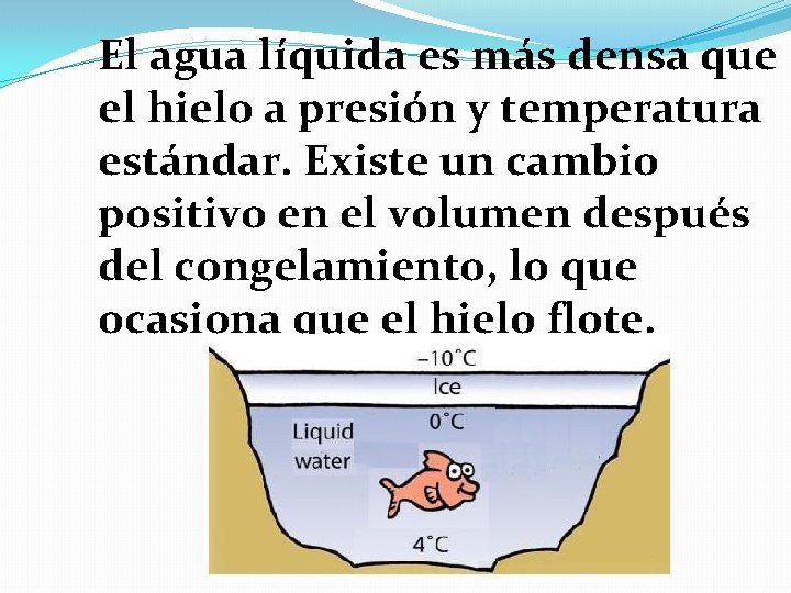 El agua líquida es más densa que el hielo a presión y temperatura estándar.