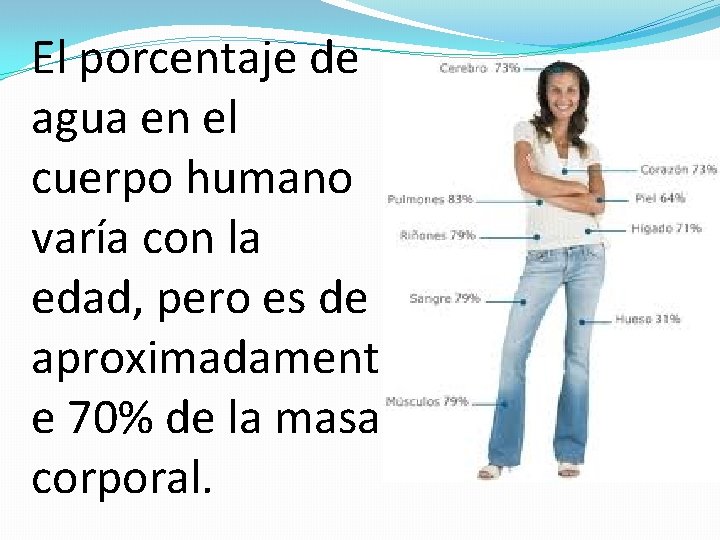 El porcentaje de agua en el cuerpo humano varía con la edad, pero es