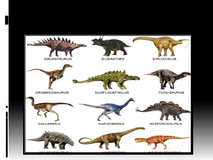 Types Of Dinosaurs Types Of Dinosaurs