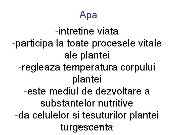 Apa -intretine viata -participa la toate procesele vitale plantei -regleaza temperatura corpului plantei -este Apa -intretine viata -participa la toate procesele vitale plantei -regleaza temperatura corpului plantei -este