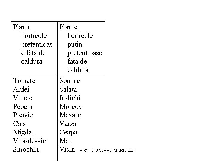 Plante horticole pretentioas putin e fata de pretentioase caldura fata de caldura Tomate Ardei Plante horticole pretentioas putin e fata de pretentioase caldura fata de caldura Tomate Ardei