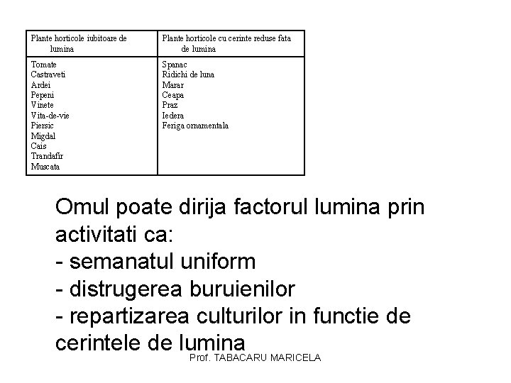 Plante horticole iubitoare de lumina Plante horticole cu cerinte reduse fata de lumina Tomate Plante horticole iubitoare de lumina Plante horticole cu cerinte reduse fata de lumina Tomate