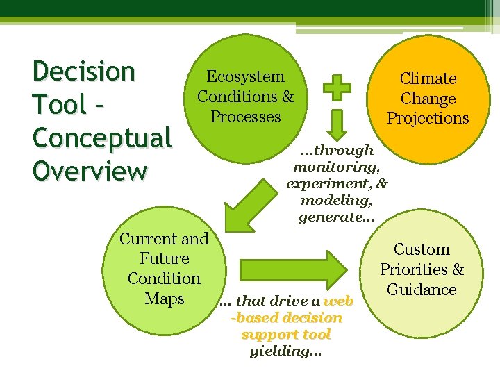 Decision Tool – Conceptual Overview Ecosystem Conditions & Processes Climate Change Projections …through monitoring,