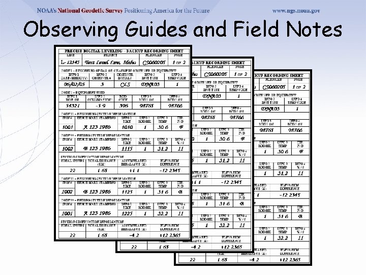 Observing Guides and Field Notes 