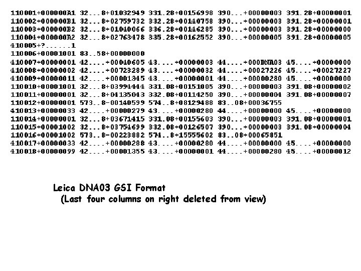 Leica DNA 03 GSI Format (Last four columns on right deleted from view) 