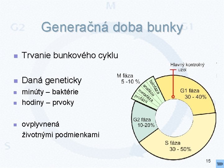 Generačná doba bunky n Trvanie bunkového cyklu n Daná geneticky n n minúty –