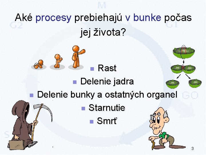 Aké procesy prebiehajú v bunke počas jej života? Rast n Delenie jadra Delenie bunky