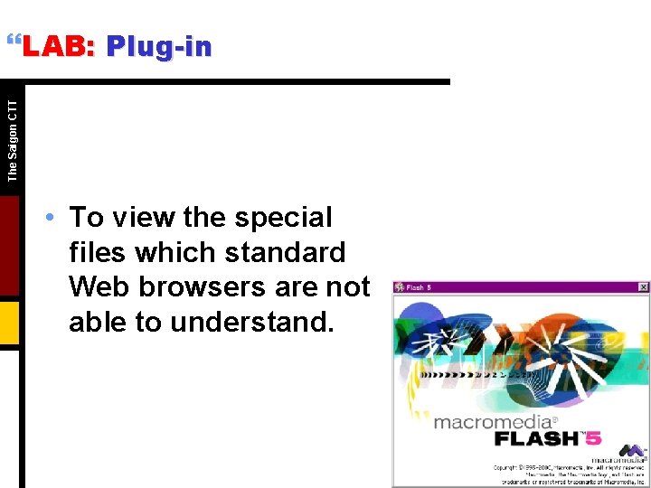 The Saigon CTT }LAB: Plug-in • To view the special files which standard Web