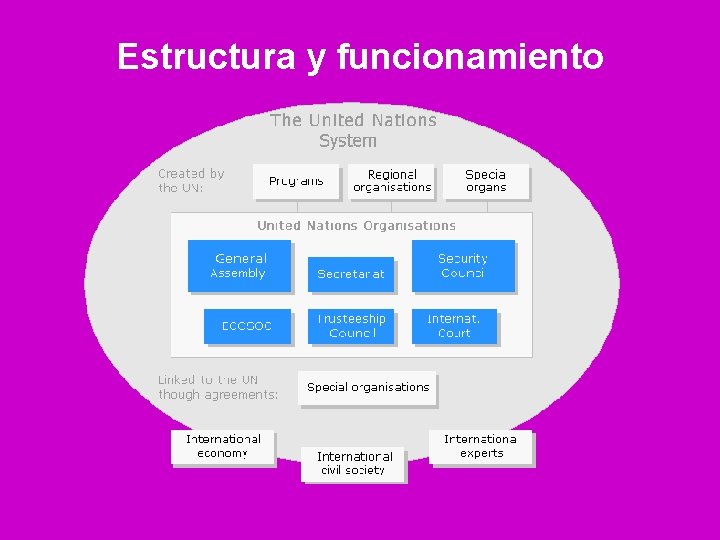 Estructura y funcionamiento 