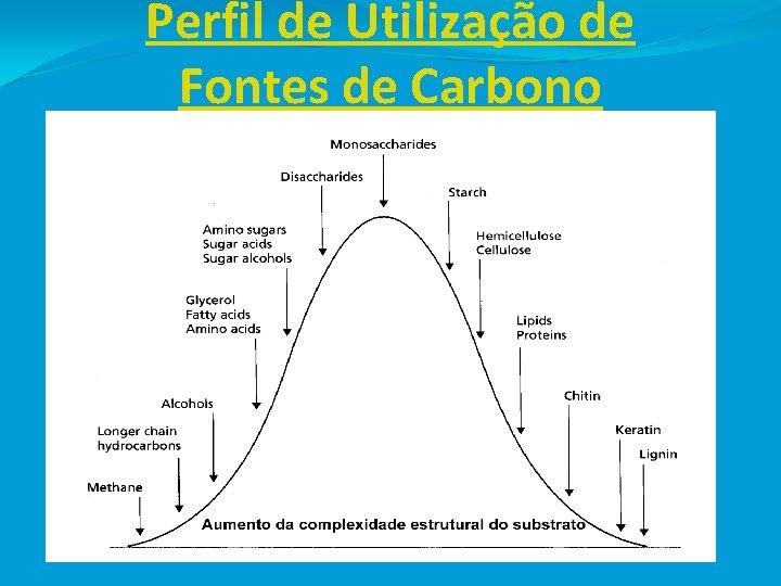 Perfil de Utilização de Fontes de Carbono 