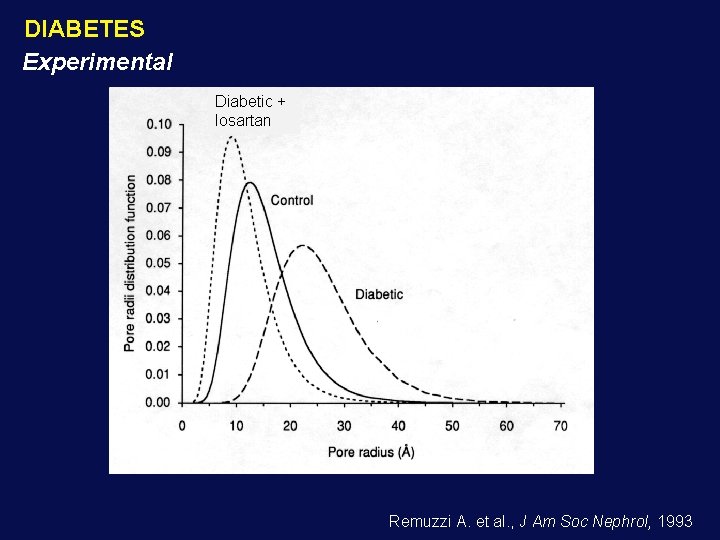 DIABETES Experimental Diabetic + losartan Remuzzi A. et al. , J Am Soc Nephrol,