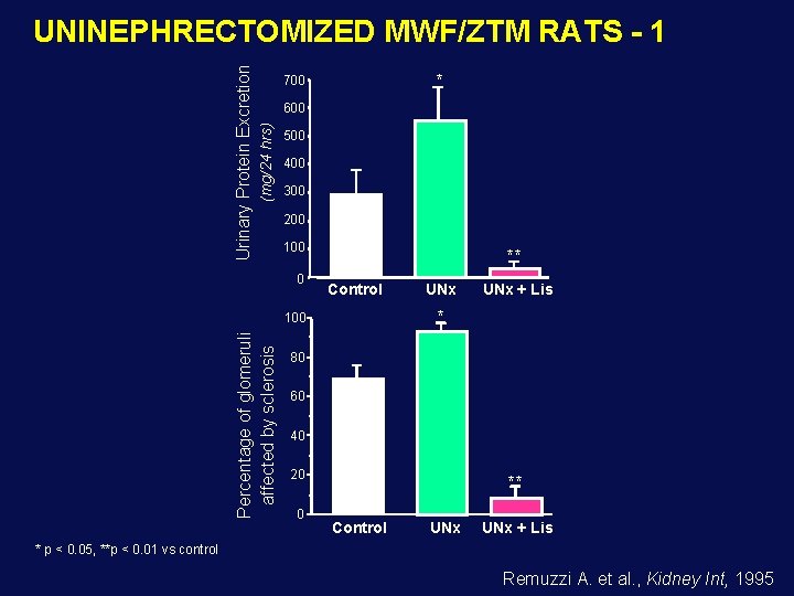 * 700 600 (mg/24 hrs) Urinary Protein Excretion UNINEPHRECTOMIZED MWF/ZTM RATS - 1 500