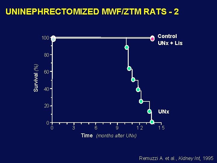 UNINEPHRECTOMIZED MWF/ZTM RATS - 2 Control UNx + Lis 100 Survival (%) 80 60