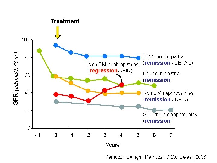 Treatment GFR (ml/min/1. 73 m 2) 100 DM-2 -nephropathy Non-DM-nephropathies (remission - DETAIL) (regression-REIN)
