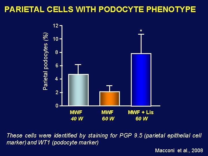 PARIETAL CELLS WITH PODOCYTE PHENOTYPE Parietal podocytes (%) 12 * 10 8 6 4