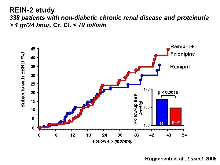 REIN-2 study 338 patients with non-diabetic chronic renal disease and proteinuria > 1 gr/24